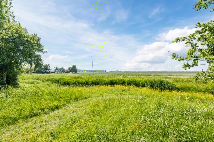 Foto 75 van Buitenkruier 99