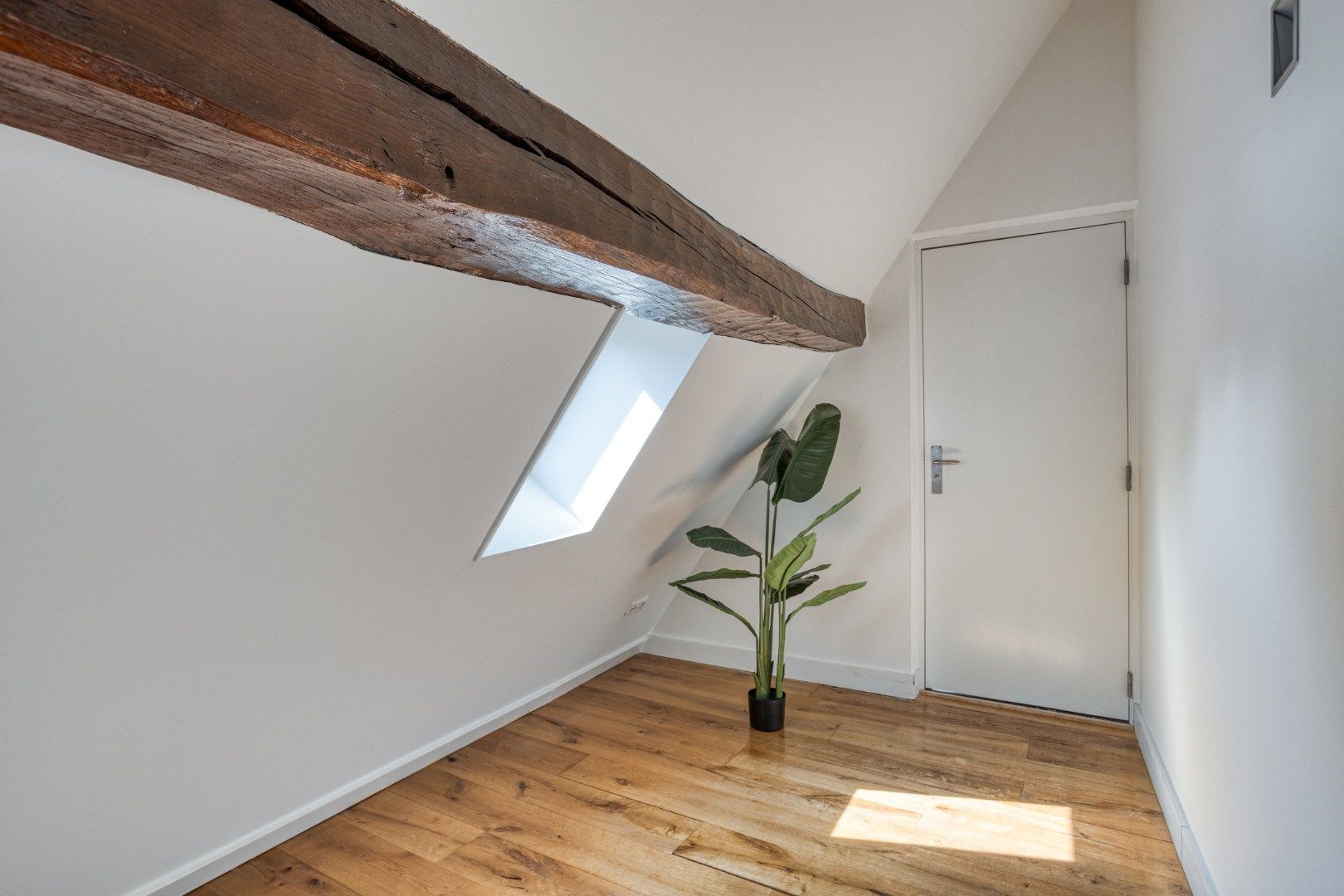 Foto 15 van Kapoenstraat 14-C02