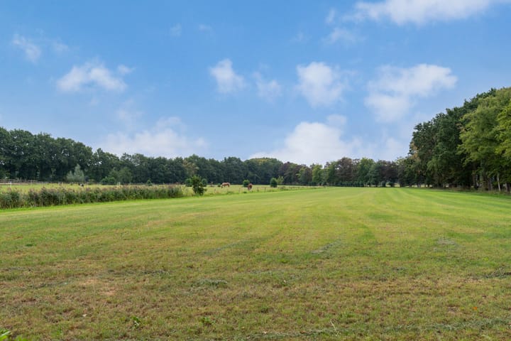 Foto 48 van Heijhorst 51