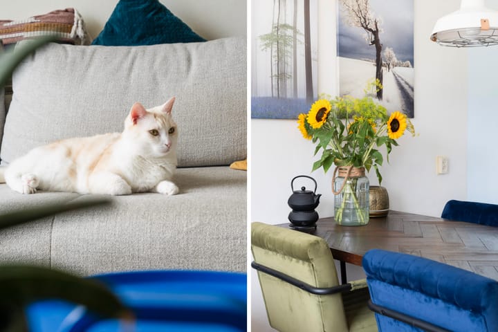 Foto 4 van Jonker Fransstraat 219