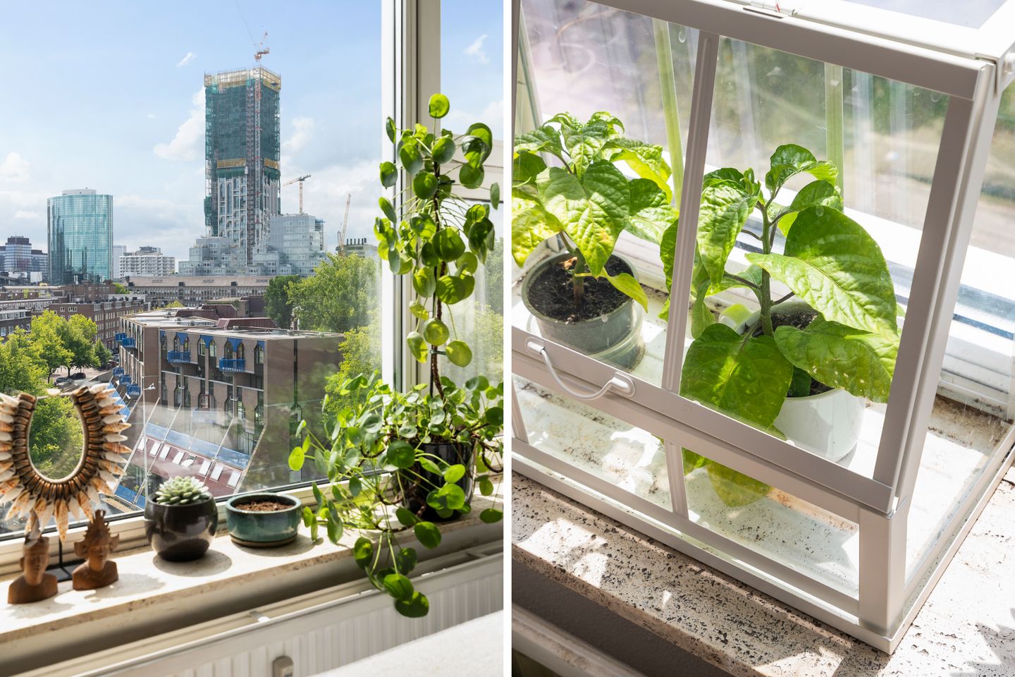 Foto 10 van Jonker Fransstraat 219