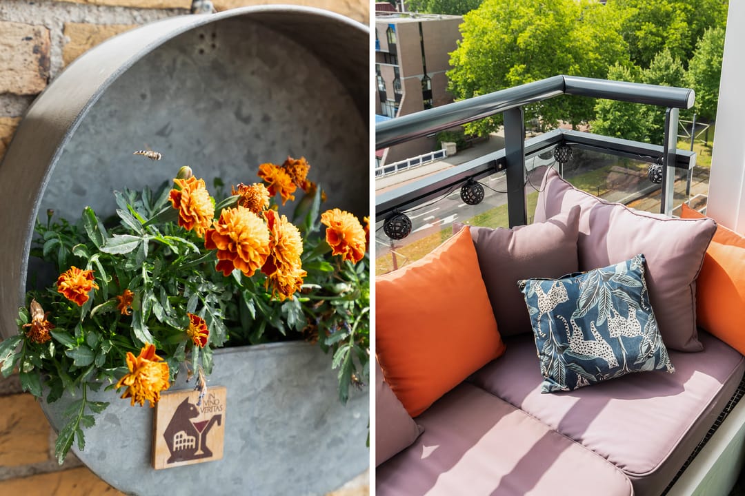 Foto 13 van Jonker Fransstraat 219