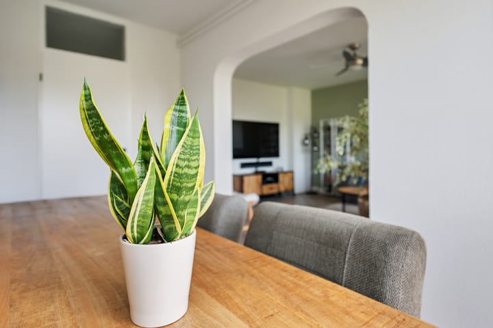 Photo 14 of Abt Ludolfweg 82