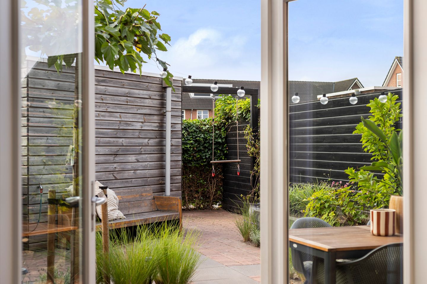 Foto 10 van Koraalzwam 20