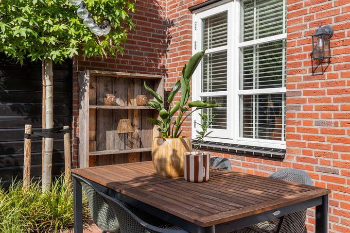 Foto 14 van Koraalzwam 20