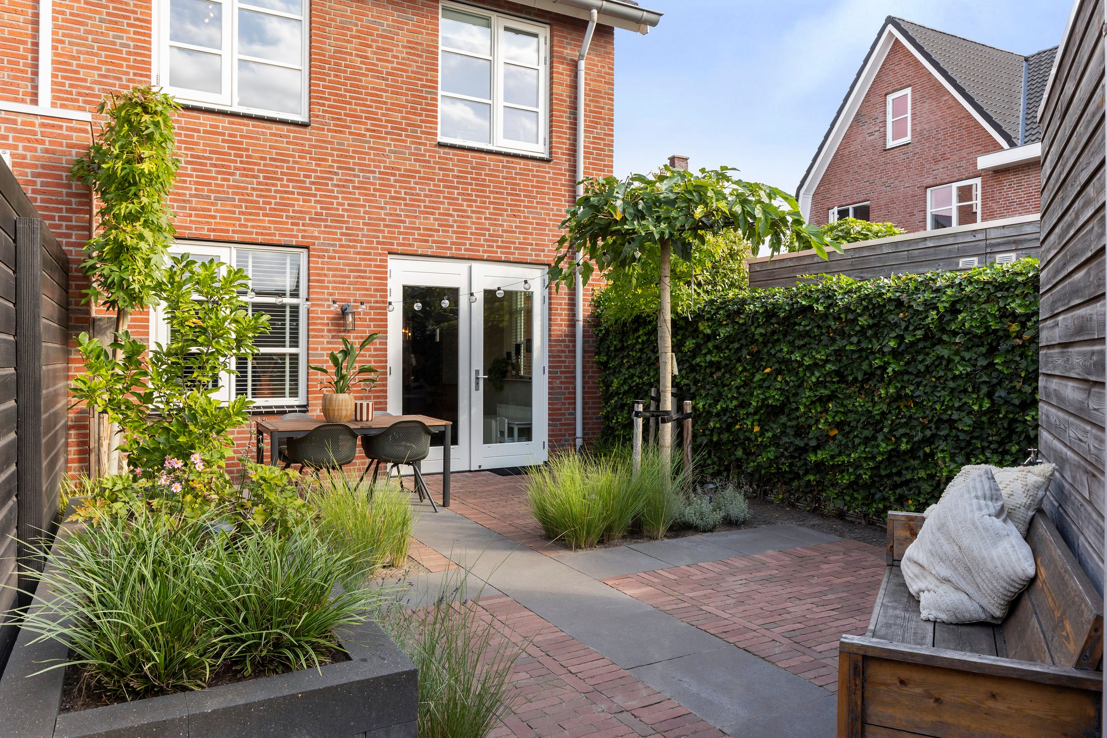 Foto 15 van Koraalzwam 20