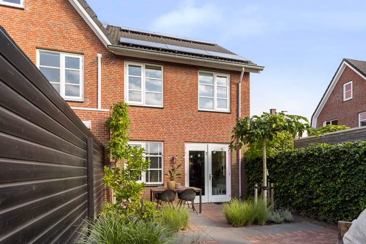 Foto 16 van Koraalzwam 20