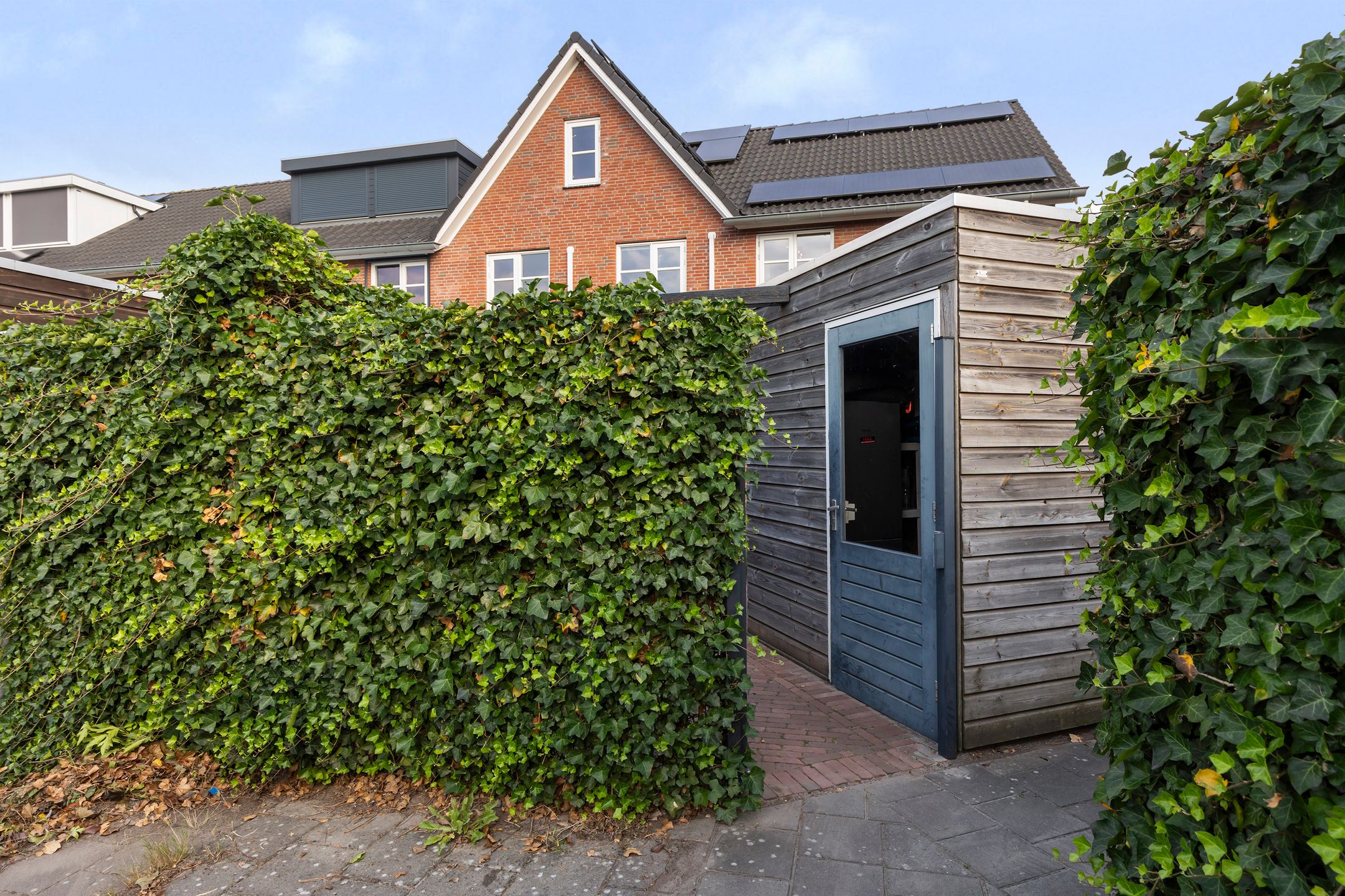 Foto 18 van Koraalzwam 20