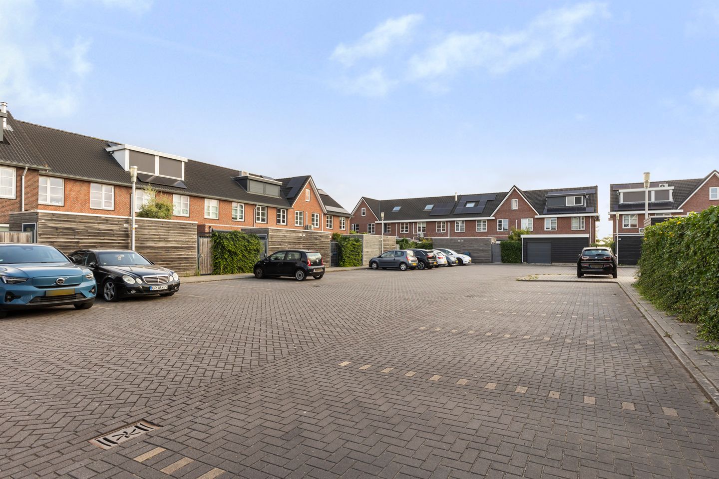 Foto 19 van Koraalzwam 20