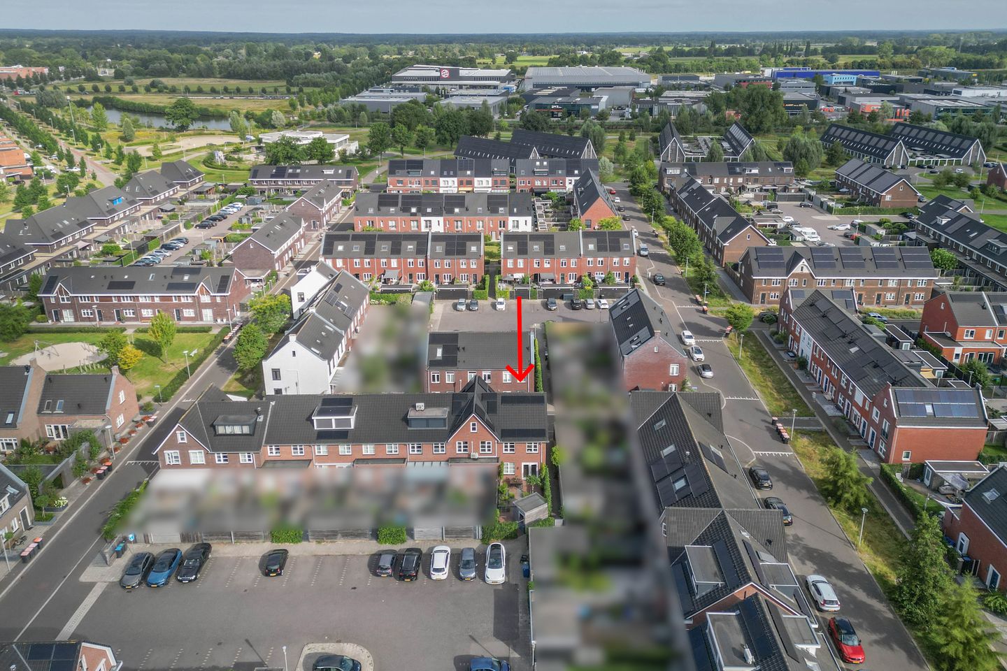 Foto 20 van Koraalzwam 20