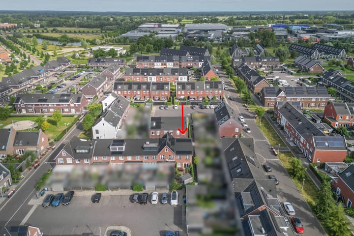 Foto 20 van Koraalzwam 20