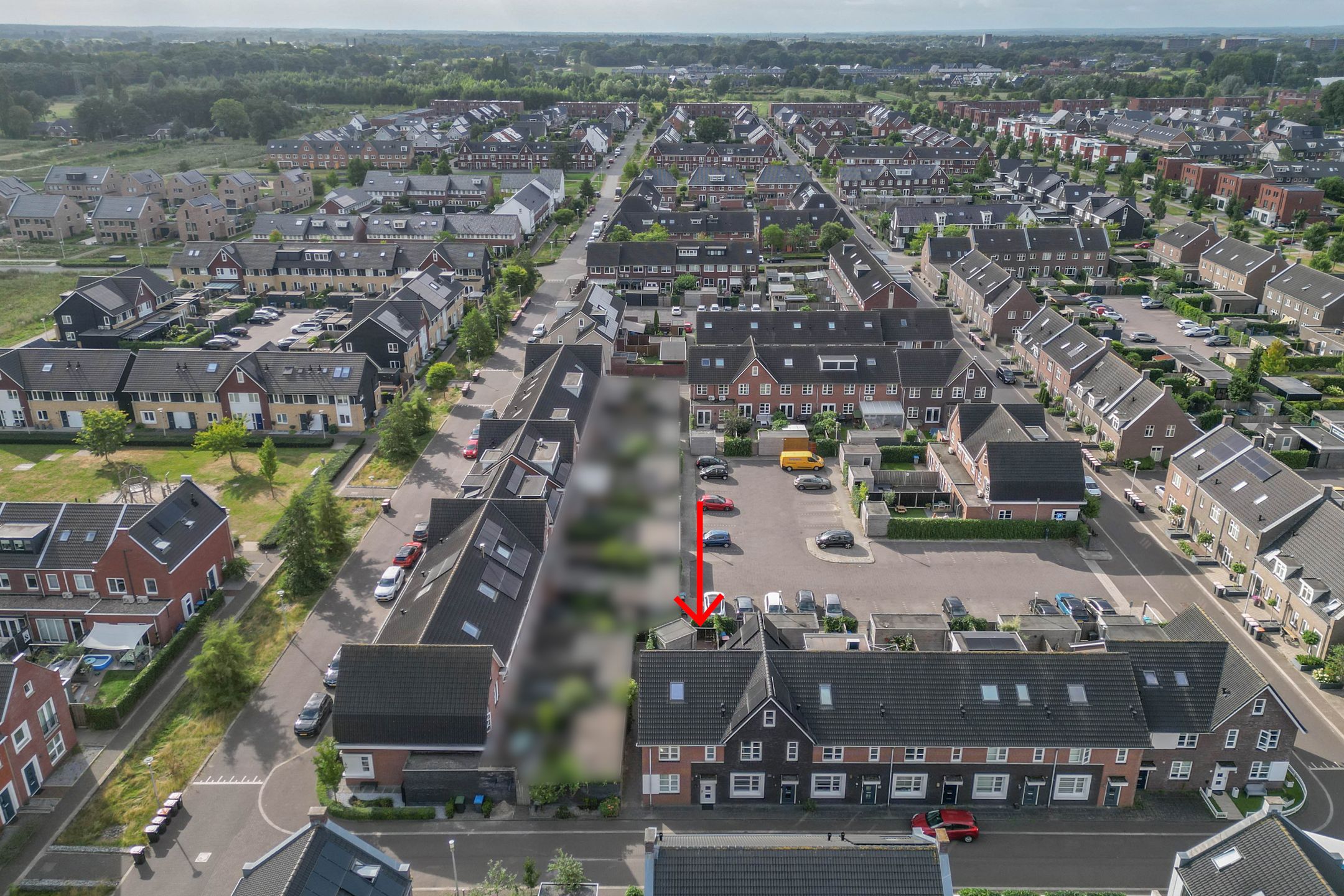 Foto 21 van Koraalzwam 20