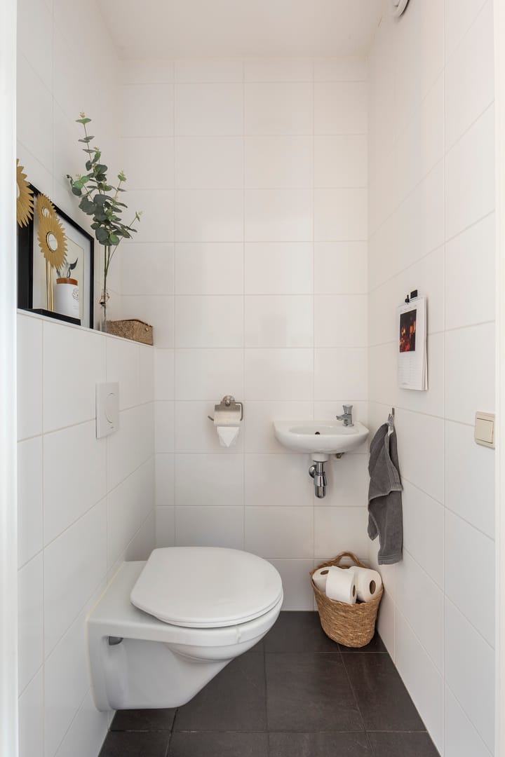 Foto 22 van Koraalzwam 20