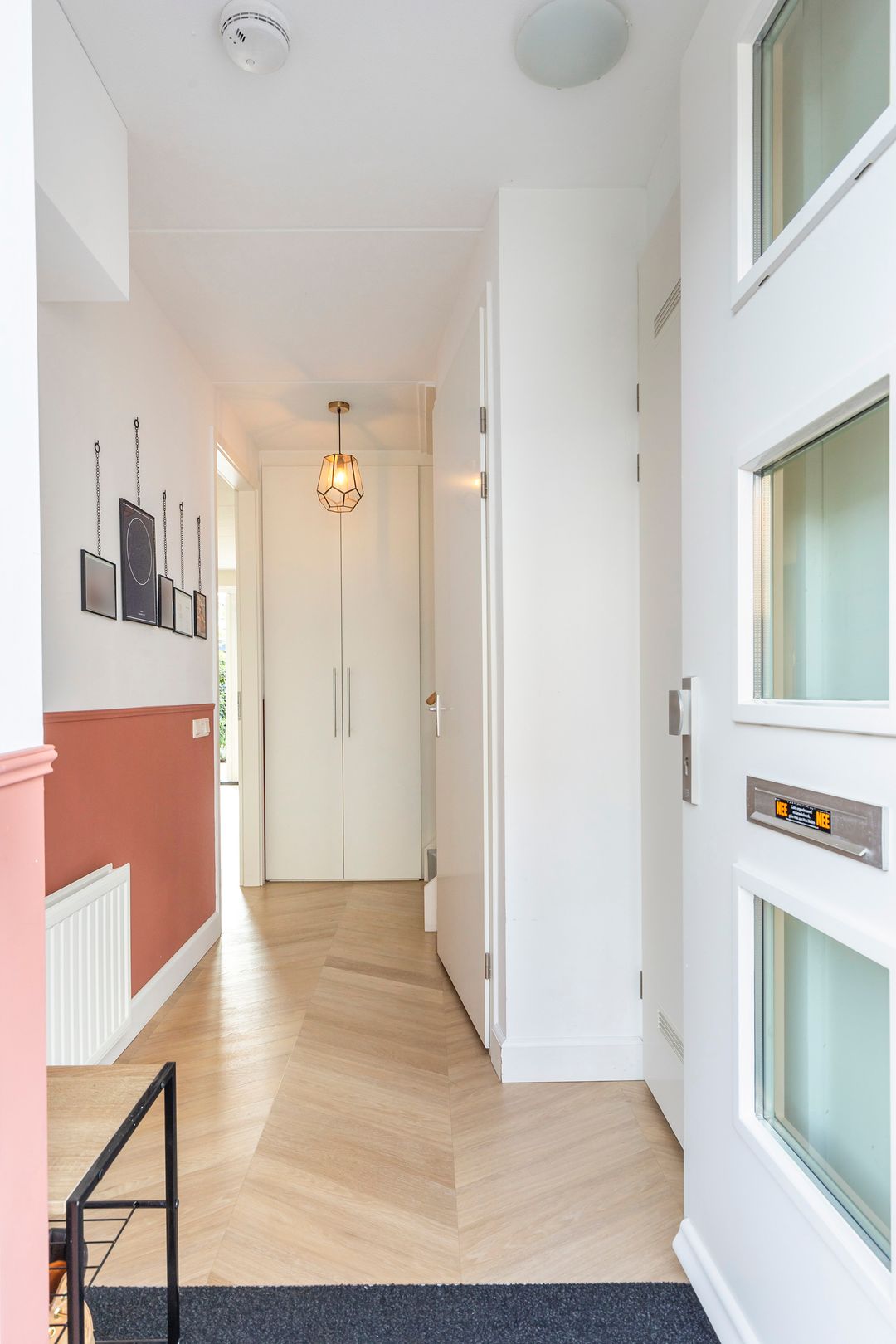 Foto 23 van Koraalzwam 20