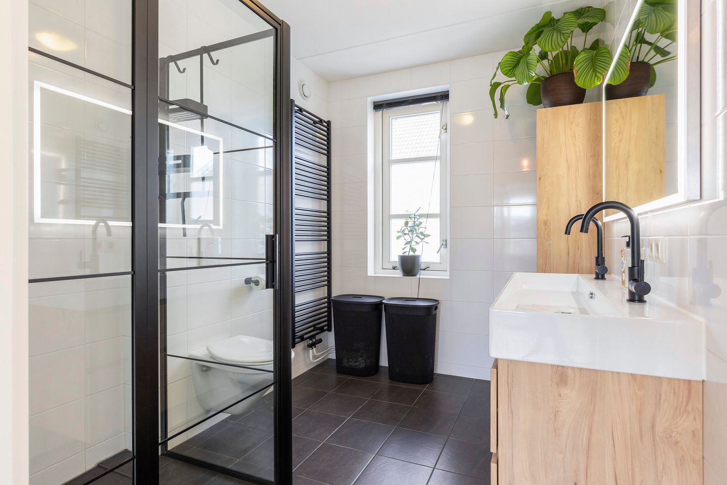 Foto 29 van Koraalzwam 20