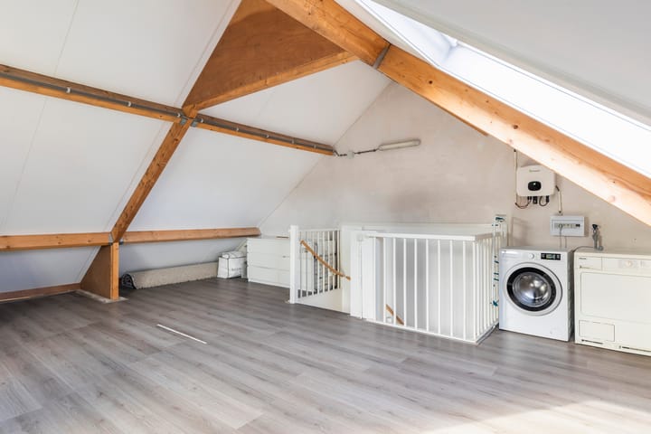 Foto 33 van Koraalzwam 20