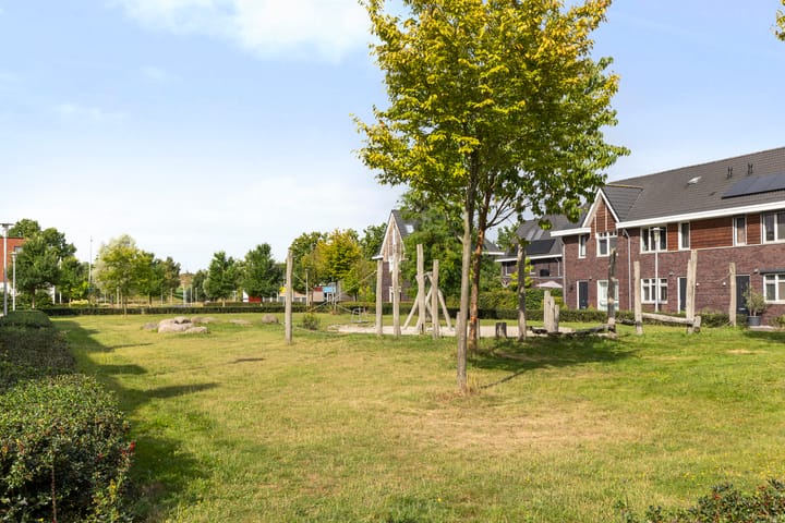 Foto 34 van Koraalzwam 20