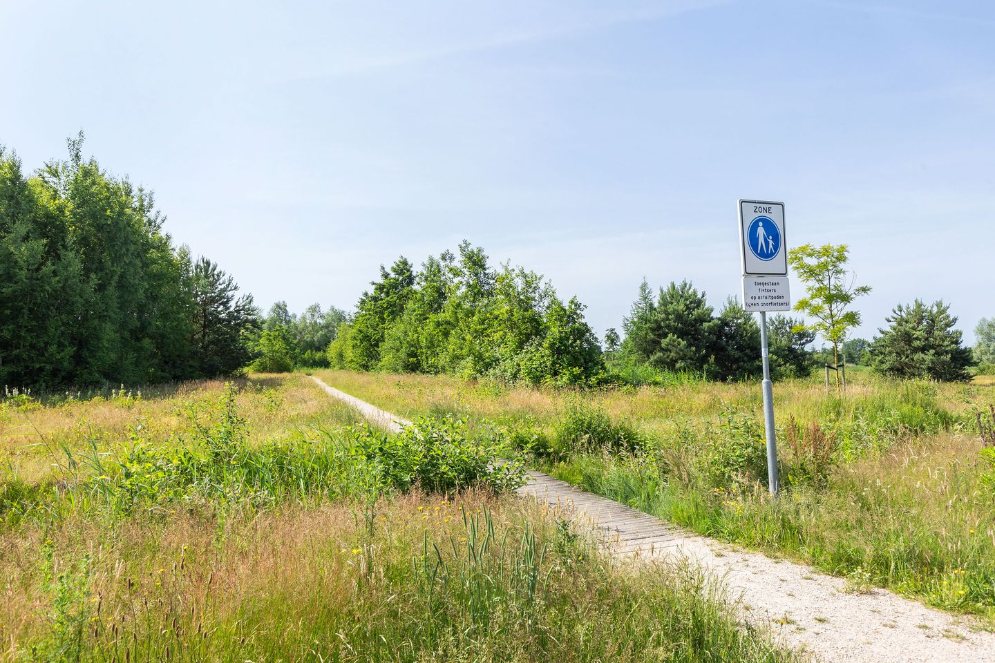 Foto 35 van Koraalzwam 20