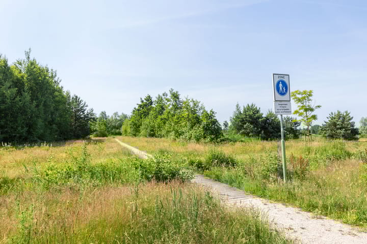 Foto 35 van Koraalzwam 20