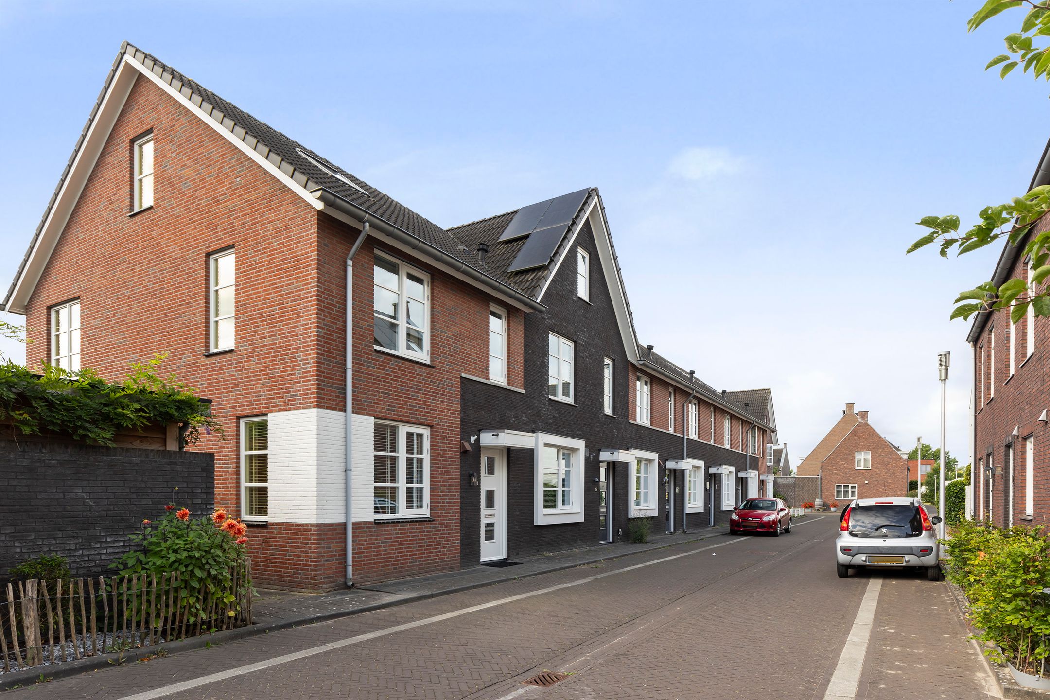 Foto 36 van Koraalzwam 20