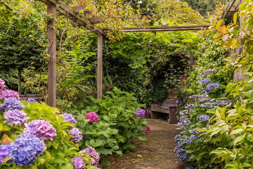 Photo 47 of Koninginnelaan 9