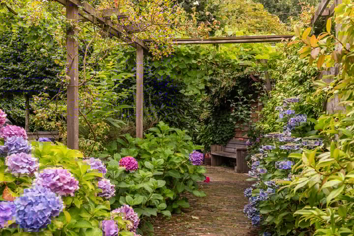 Foto 47 van Koninginnelaan 9