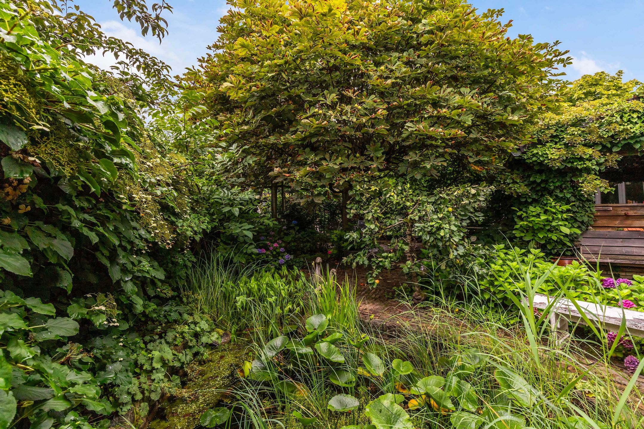 Photo 48 of Koninginnelaan 9