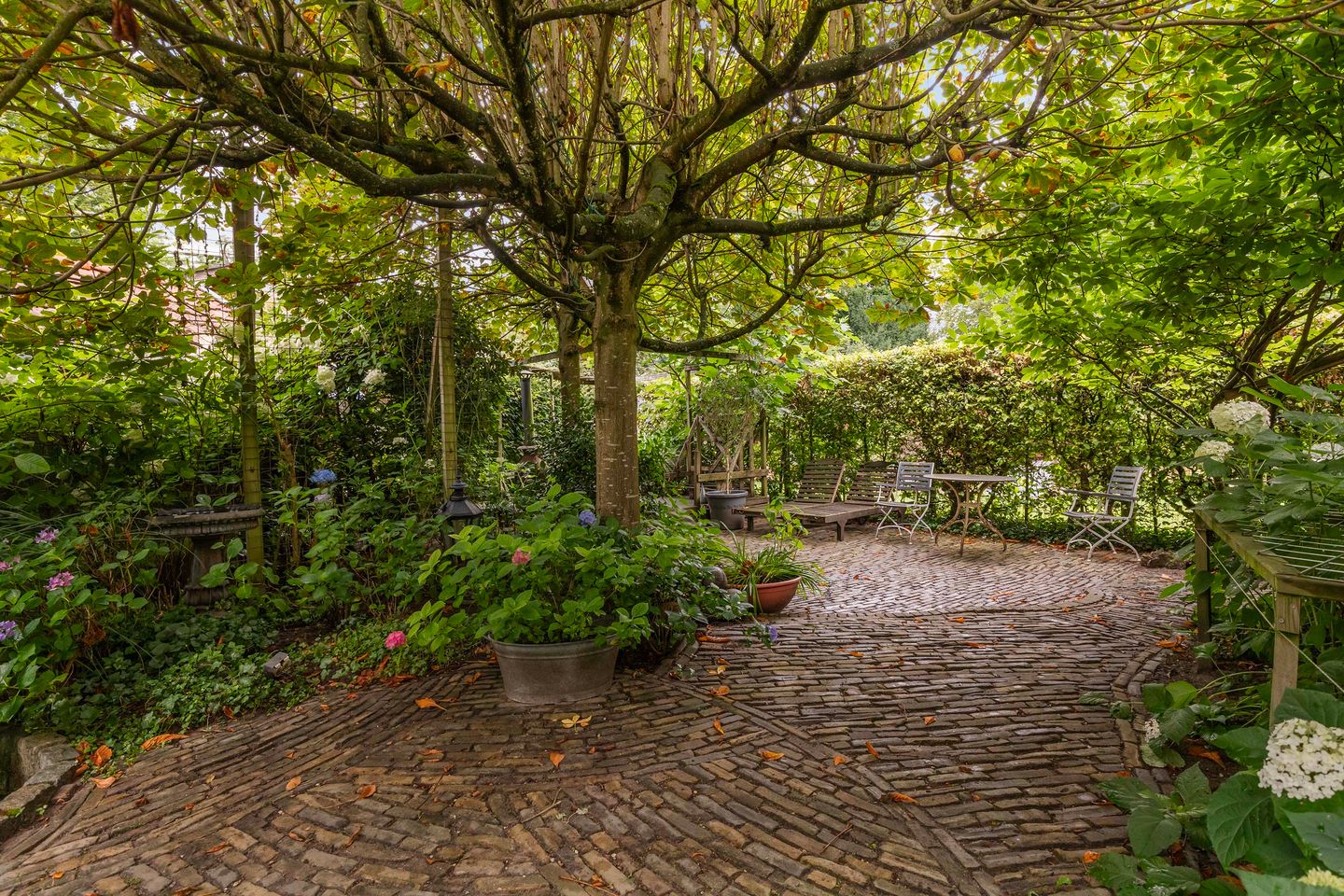 Photo 50 of Koninginnelaan 9