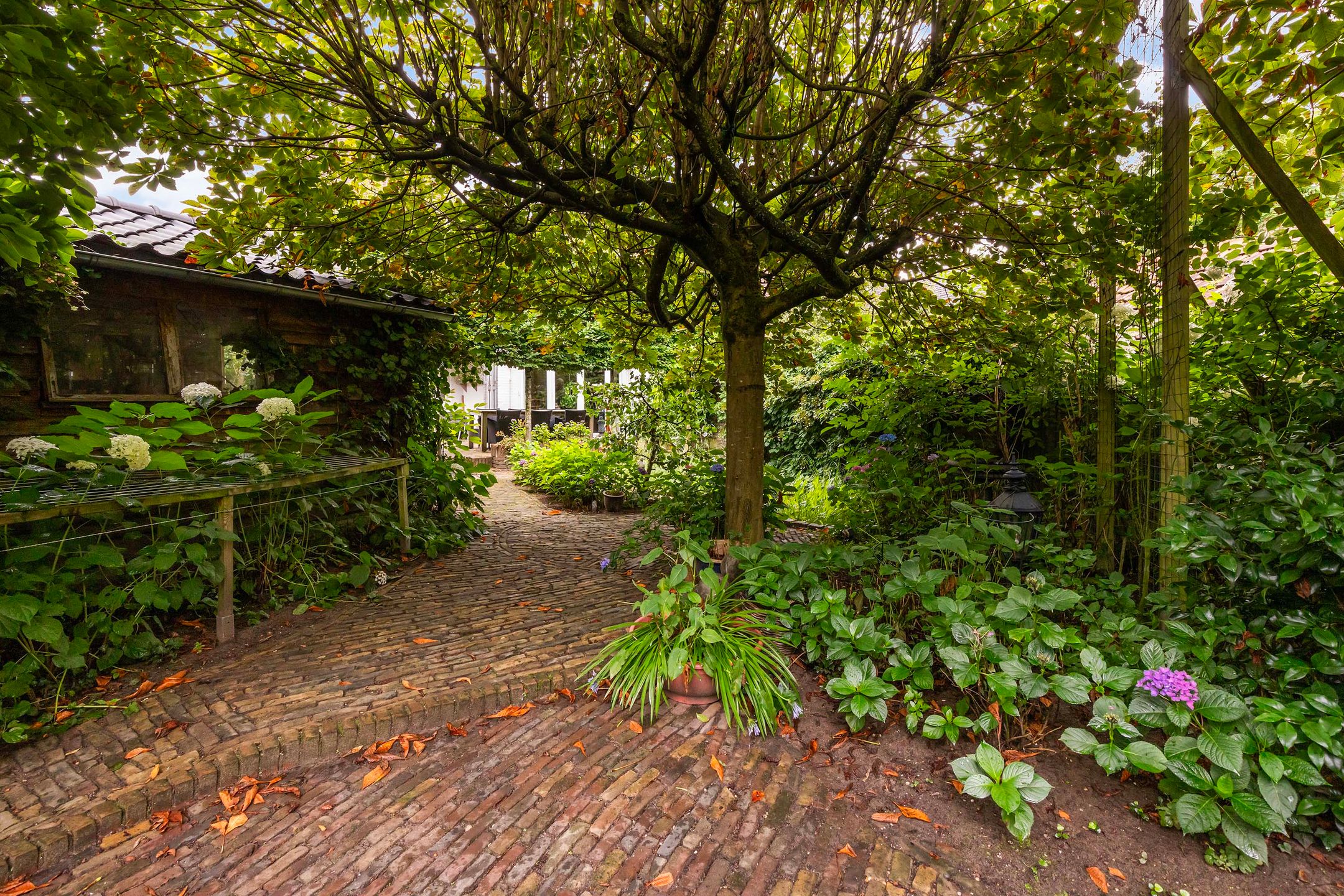 Photo 51 of Koninginnelaan 9