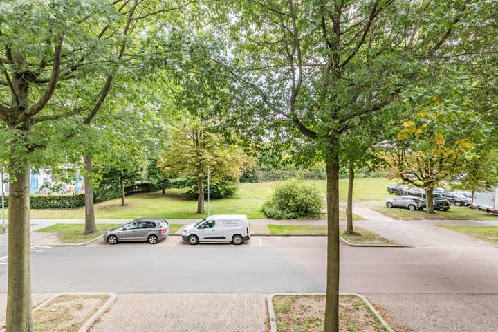 Foto 12 van Deken van Oppensingel 163