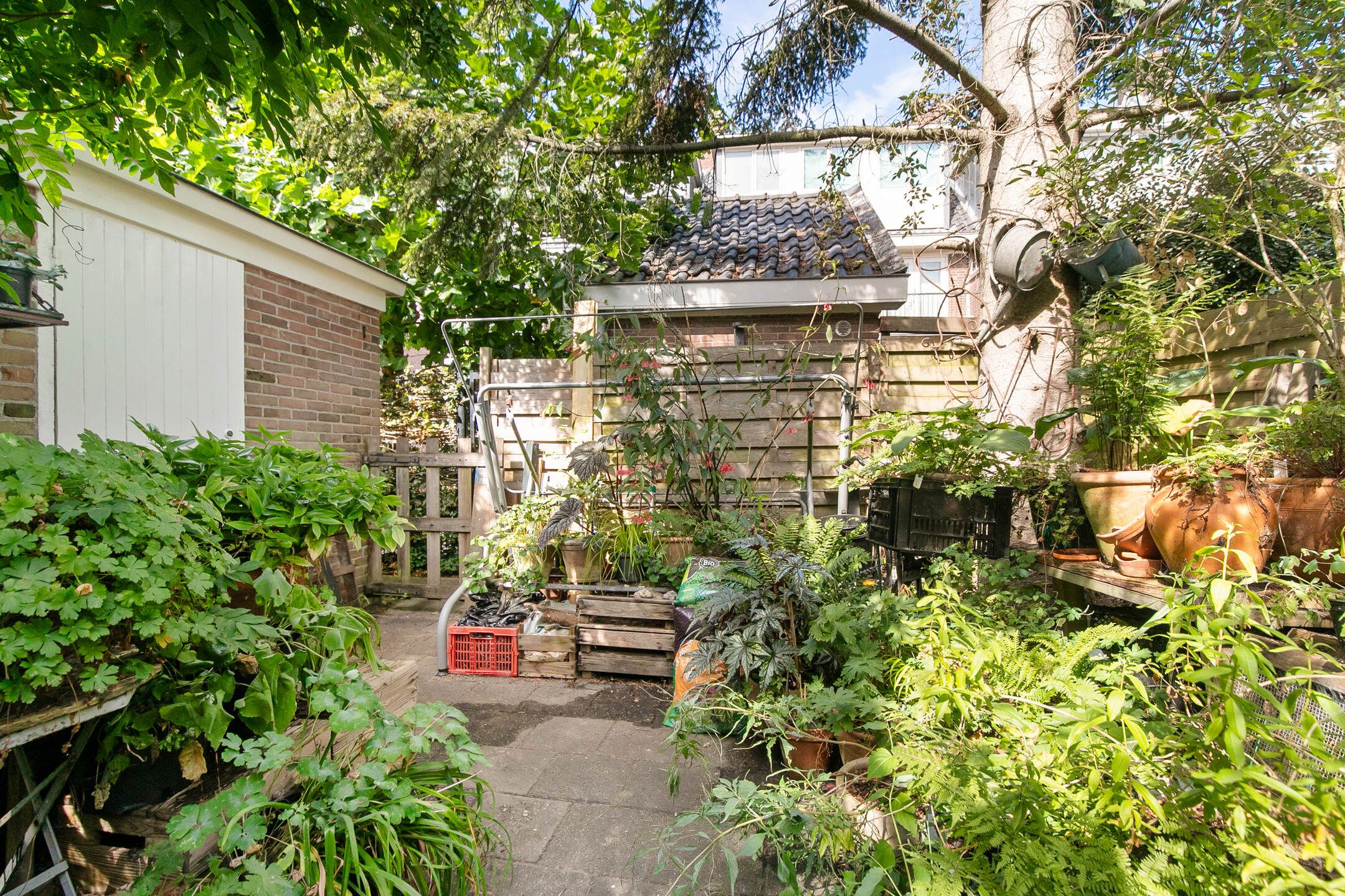 Foto 3 van Mauritslaan 12-HS