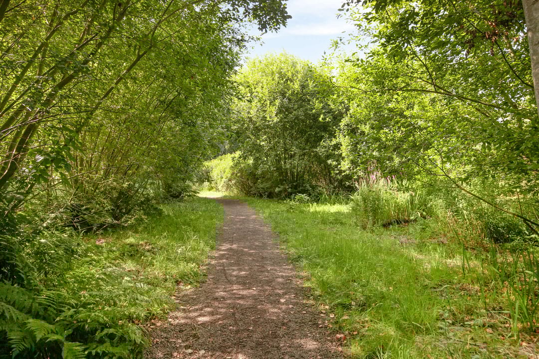 Foto 13 van Mauritslaan 12-HS