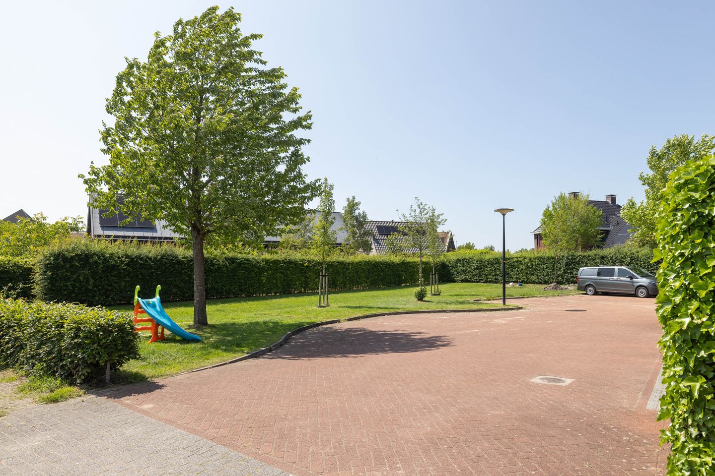 Foto 29 van Rozenbottel 9