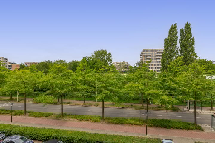 Foto 5 van Alkenoord 289