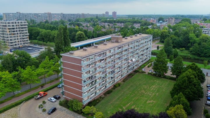 Foto 40 van Alkenoord 289