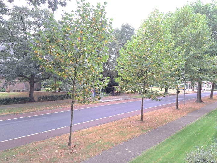 Foto 21 van Dillenburg 48