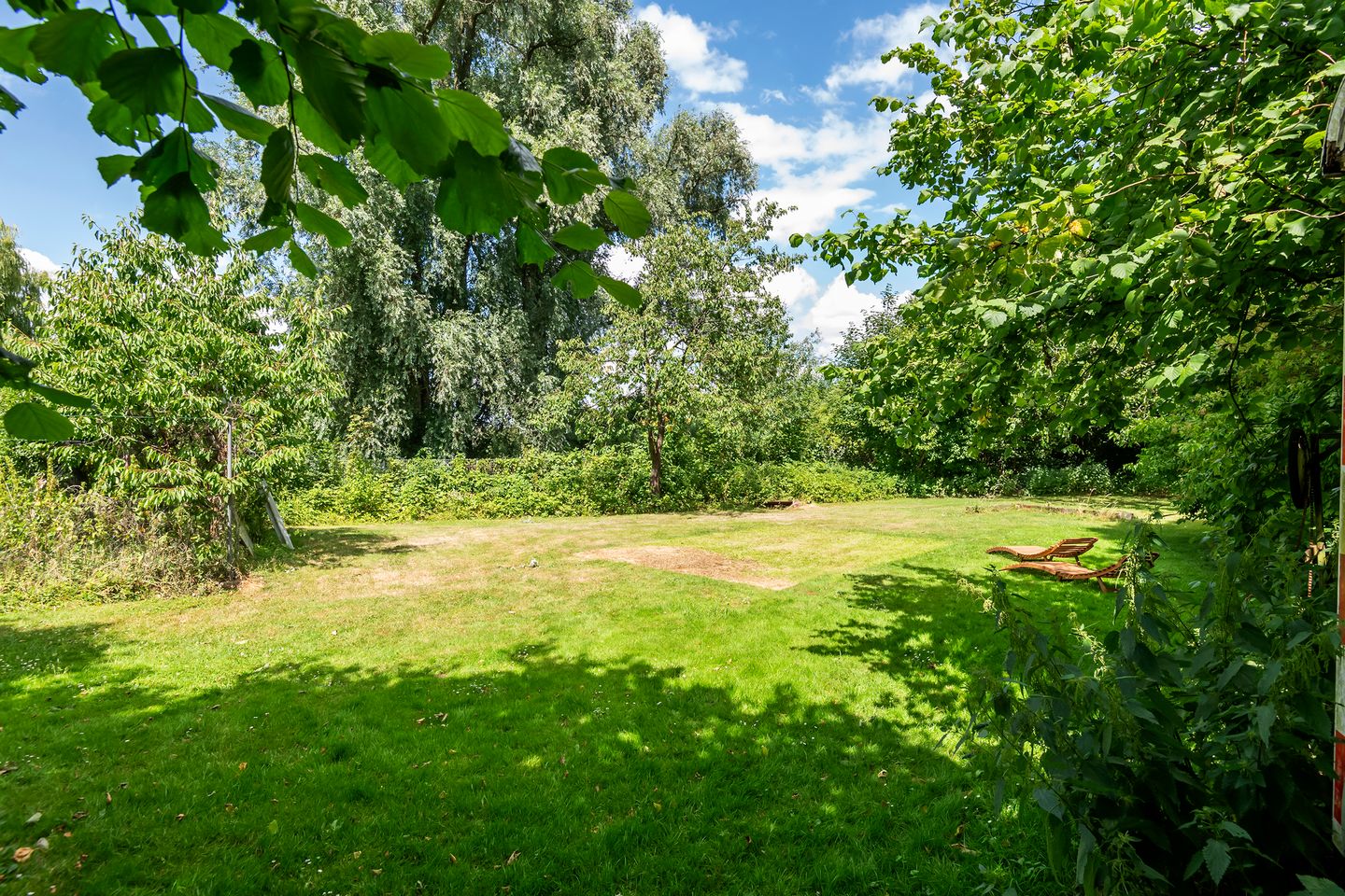 Foto 49 van Brouwersstraat 11