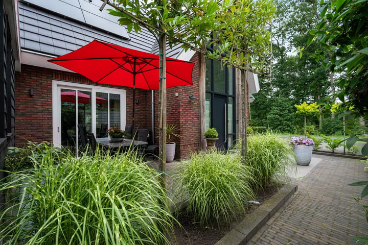 Foto 49 van Elfenbank 19