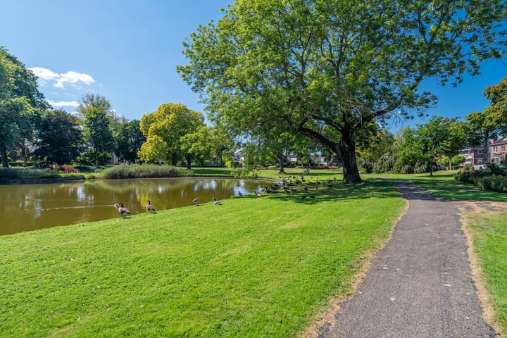 Photo 71 of Noordersingel 39