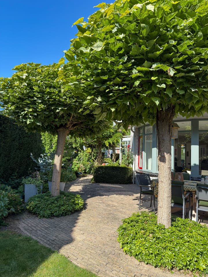 Foto 58 van Remisestraat 16