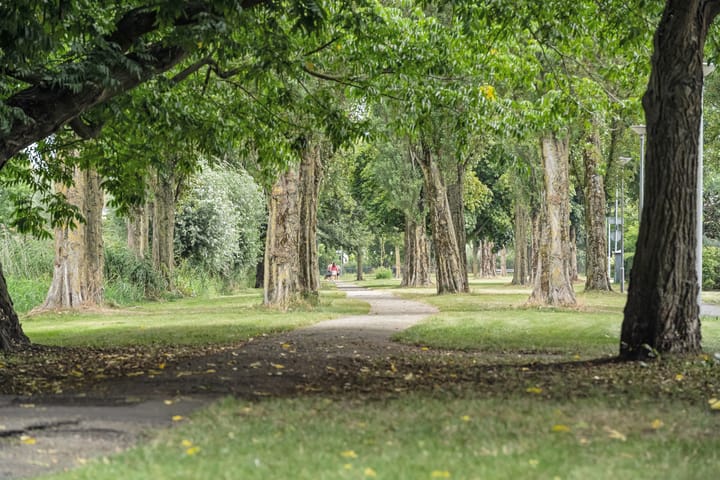 Photo 42 of Hendrik Sweijsstraat 15