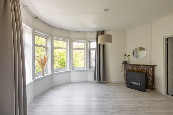 Foto 2 van Professor Rankestraat 9-A