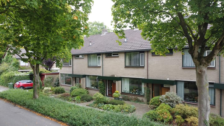 Foto 5 van Driespronglaan 6