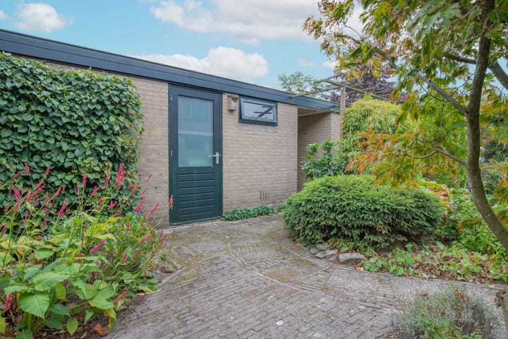 Foto 28 van Driespronglaan 6