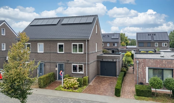 Willem van Baerlestraat 15