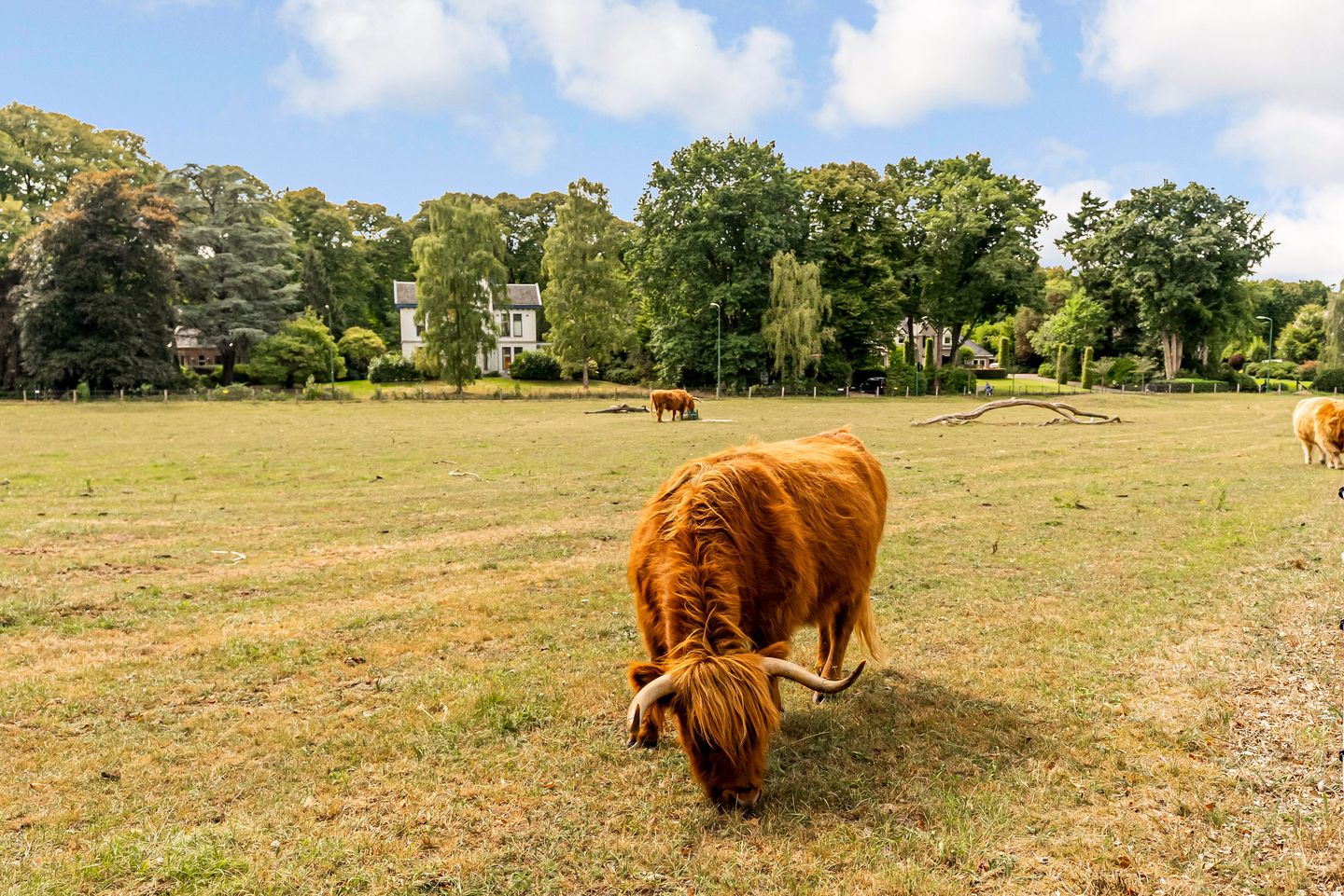 Foto 64 van Zandvoortweg 144-A