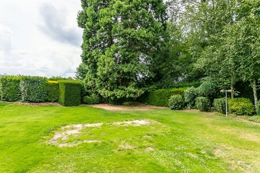 Foto 53 van Vrusschemigerweg 13