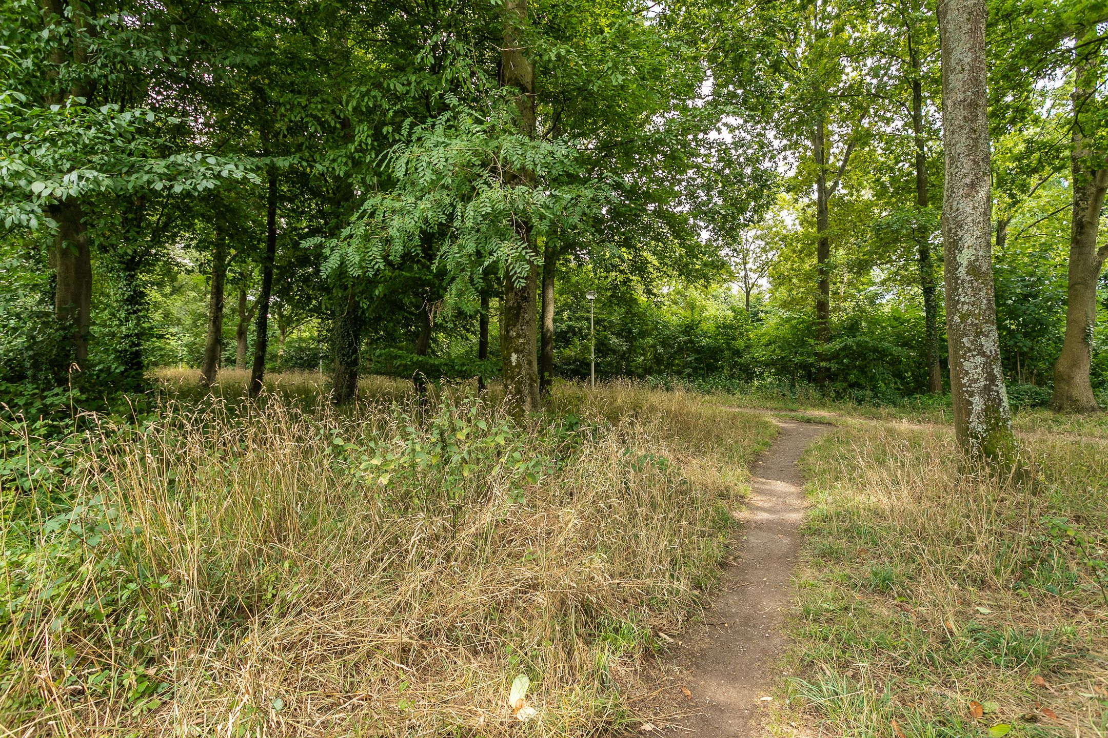 Foto 54 van Vrusschemigerweg 13