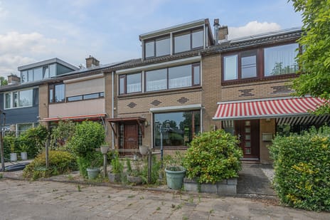 Papierbloem thumbnail