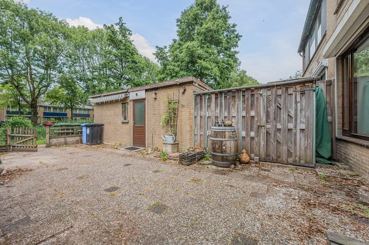 Foto 11 van Papierbloem 9